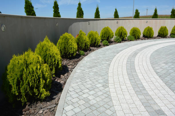 Trusted Chula Vista, TX Driveway Pavers Experts