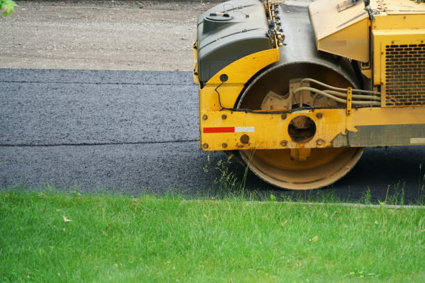 Best Custom Driveway Pavers  in Chula Vista, TX